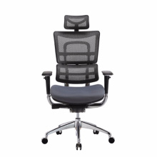2018 executive aluminum chair with neck and back support